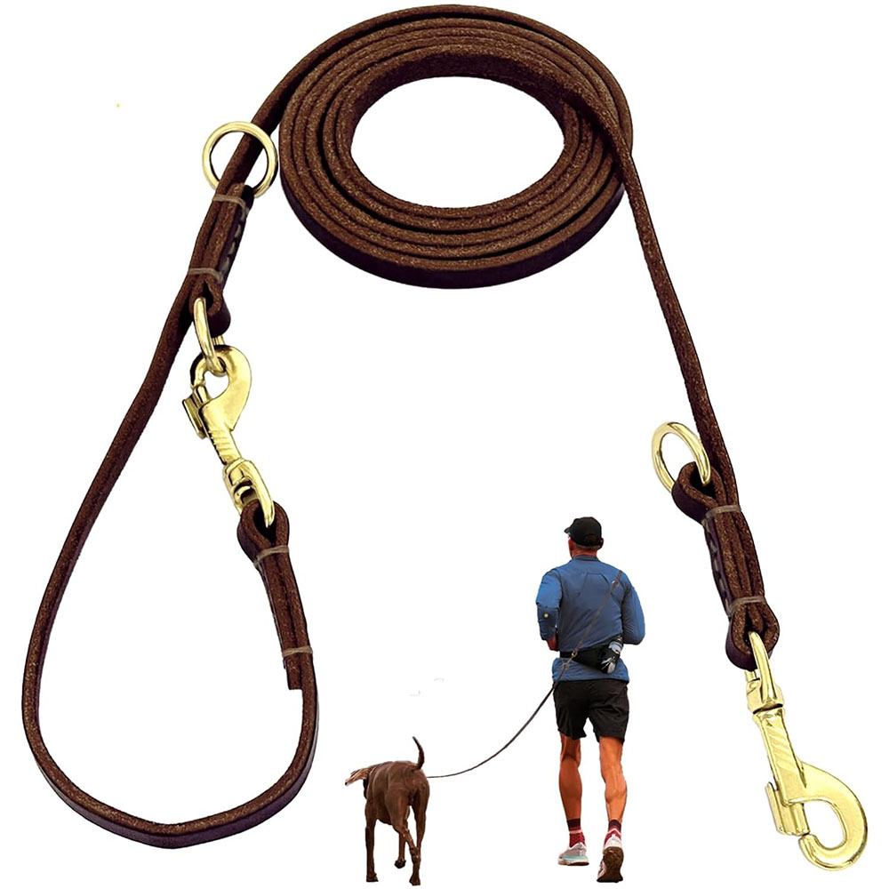 Multi Function Leather Dog Lea – Leather Strap Quick Release Bewertung und Preis