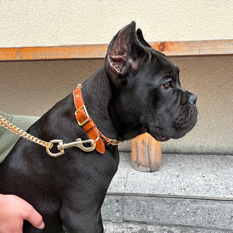Loudik Wholesale Pet Collar Le – Leather Strap Quick Release Bewertung und Preis
